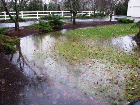 Wet Yard