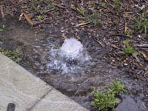 Wet Yard For Months Solving Drainage Problems Northern