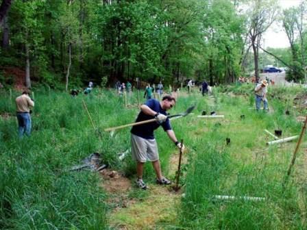 Protect Eroding Land