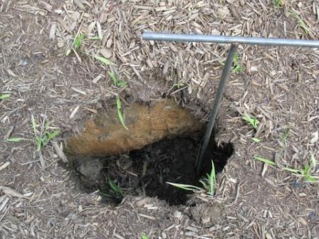 Soil probe in a sinkhole.