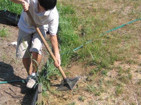 Compacting with soil tamper.