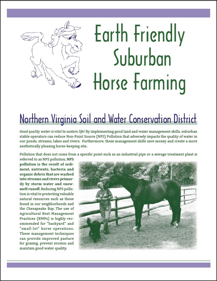 Earth-Friendly Horse Keeping Guide