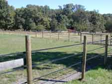 Pasture fields