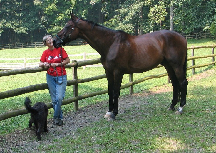 Horse Pasture