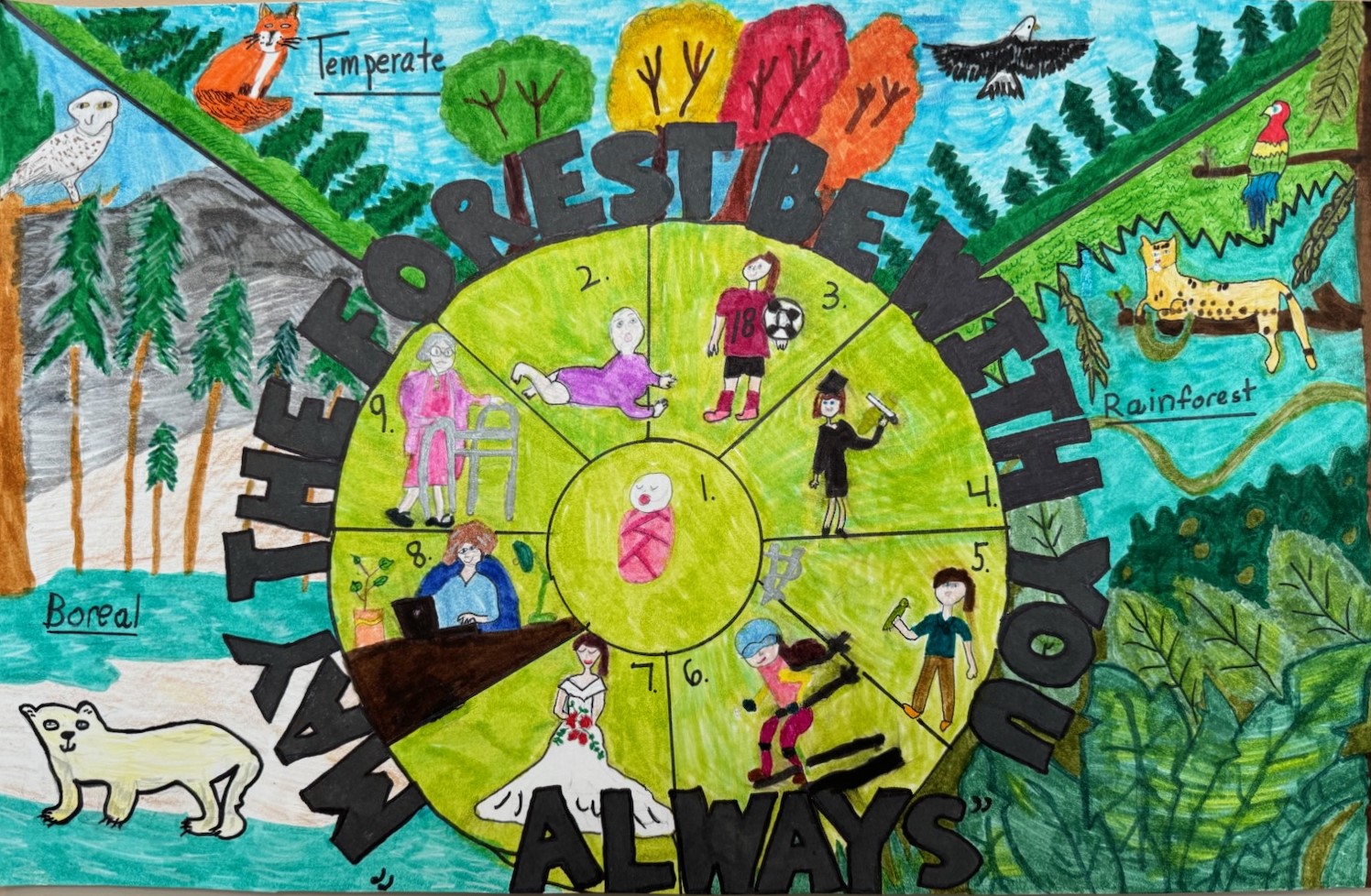 A poster drawn with marker and crayon. In the center of the poster is a green circle split into nine sections, featuring a woman in different stages of her life. Around the green circle in black text reads "May the Forest be with You, Always". Outside of the circle are drawings of three different biomes: boreal, temperate, and tropical, each with its own plants and animals.