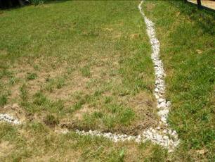 A Fairfax Station horse pasture in need of renovation.