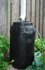 A rain barrel captures water for later use.