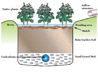 How To Reduce Surface Water Run-Off In Your Yard: Effective Strategies