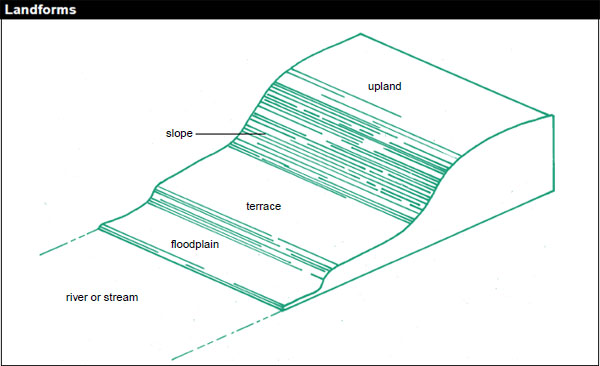 Land is made up of different shapes which provide clues about the soil conditions you are likely to encounter, which plants grow better in the area and the type of erosion and drainage problems you would experience.