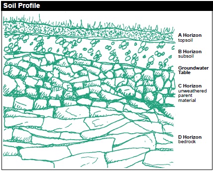 The Soil Profile is made up of five sections, namely: A Horizon - Topsoil, B Horizon - Subsoil (found below the topsoil), Groundwater Table, C Horizon - Unweathered rocks (known as the parent material), and D Horizon - bedrock (the lowest level).