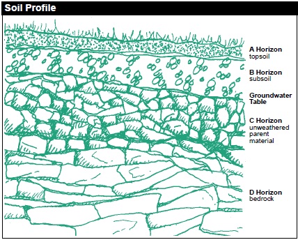 Soil profile