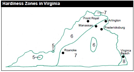 Northern Virginia