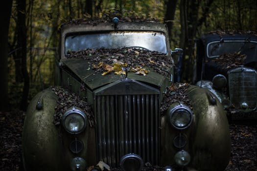 Car graveyard