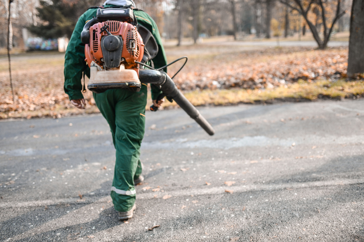 Gas-powered leaf blower