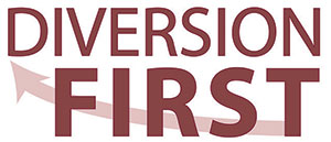 Diversion First logo