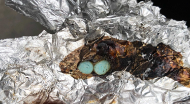 burnt tin foil with opioid residue