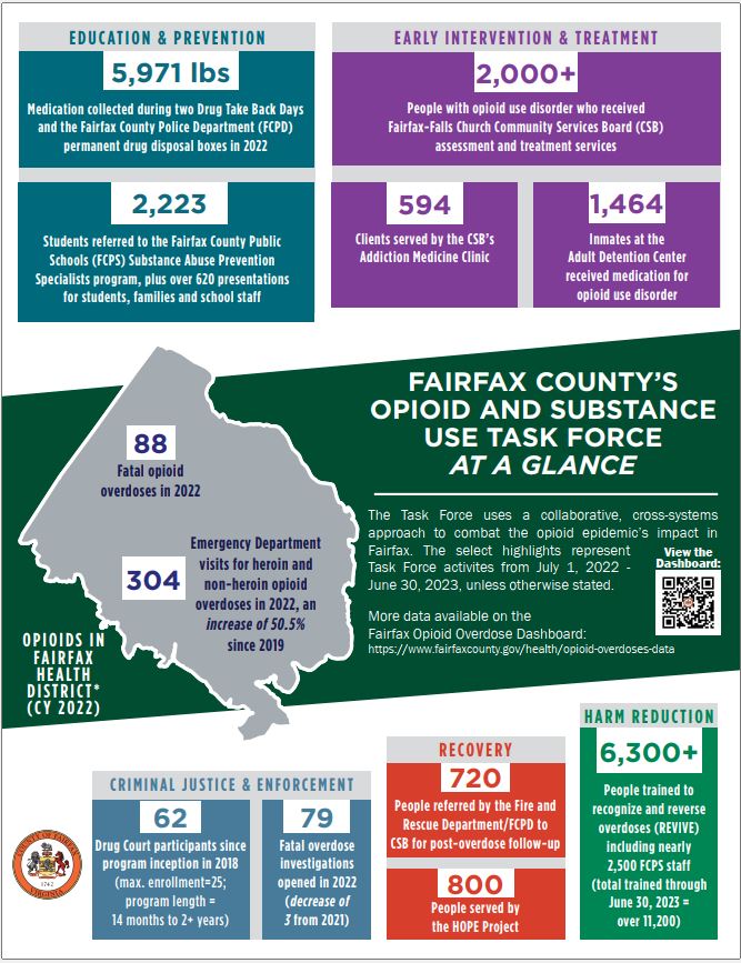 thumbnail of infographic displaying task force progress