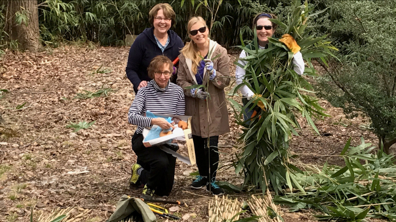 Master Gardeners at garden plot