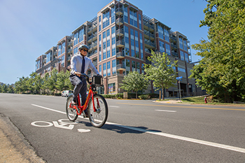 Biking to Work Image