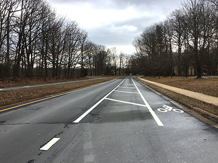 South Lakes Drive Bike Lane