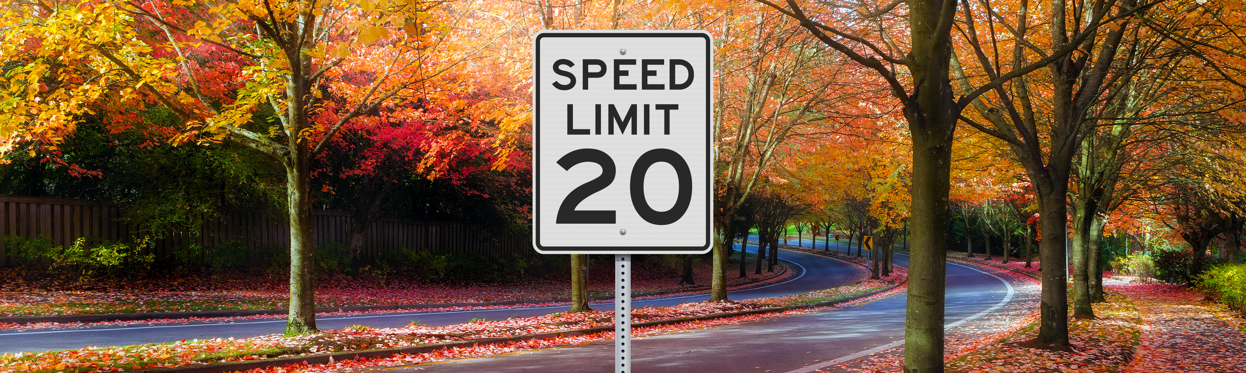 20 mph Pilot Study Banner Graphic 