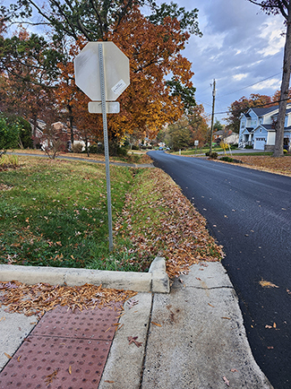 Bush Hill Project Location