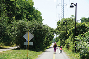 Biking and walking on the W&OD Trail 