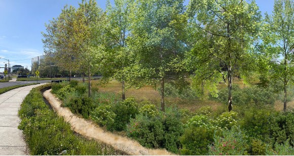 Image of CRMP beautification project