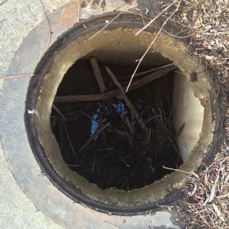 Image of a beaver culvert.