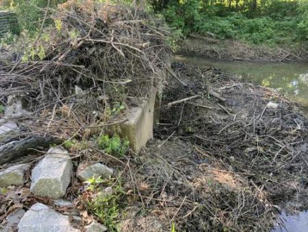 Image of a beaver culvert.