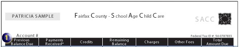SACC Sample Bill Statement Section 01 Previous Balance Due: Total amount due from last statement. Image: Section sample information includes: Patricia Sample; Fairfax County - School Age Child Care; SACC; Account #; Federal Tax ID # 54-0787833; Previous Balance Due 0.00; Payments Received 35.00; Credits 35.00; Remaining Balance 70.00CR; Charges 2576.00; Other Fees 75.00; total Amount Due 2581.00; Statement Closing Date:; *(Payment received and charges made after closing date will appear on your next statement); Date Due Jan 28, 2003